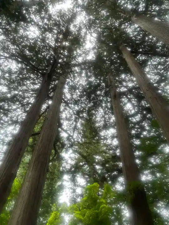 長圓寺(長野県)