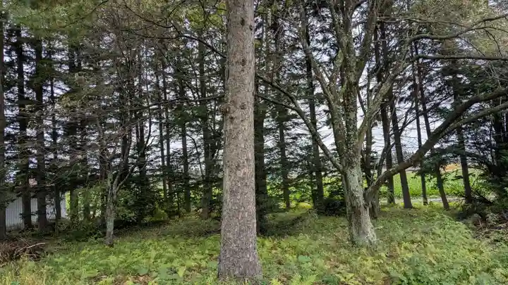 幸福神社の自然
