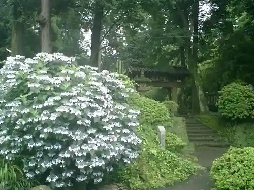 浄智寺のその他建物