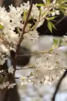 東光寺(埼玉県)