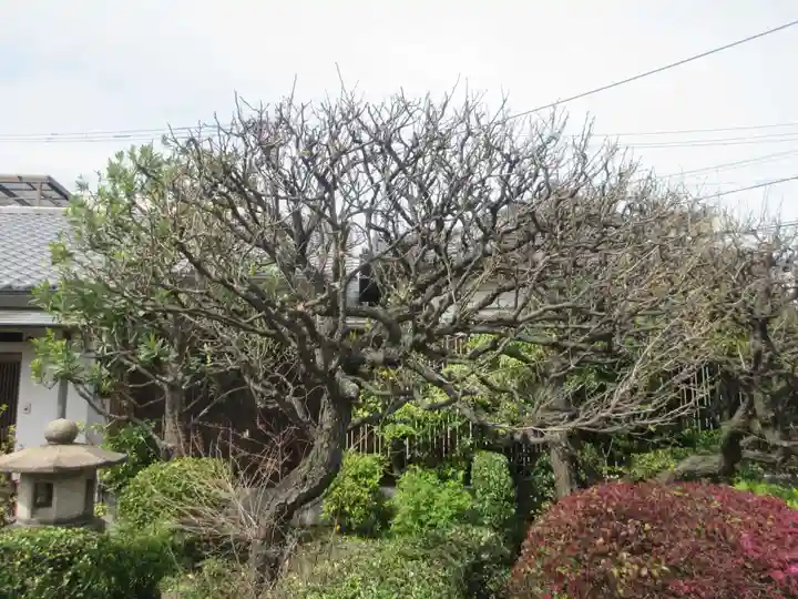 金剛院(東京都)