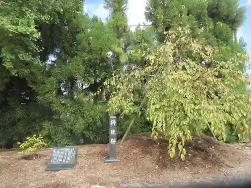 薬師寺(奈良県)