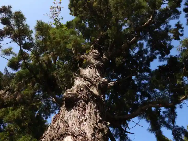 極楽寺(徳島県)