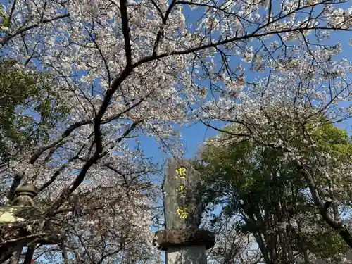 美奈宜神社(福岡県)