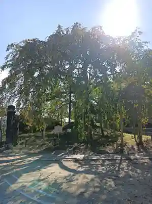 座光如来寺（元善光寺）(長野県)