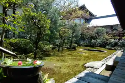 本法寺(京都府)