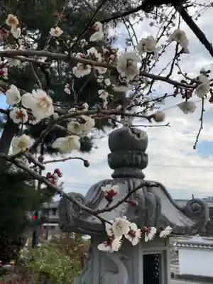 六道院（七観音）(京都府)