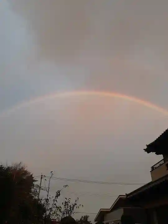 伏木香取神社の自然