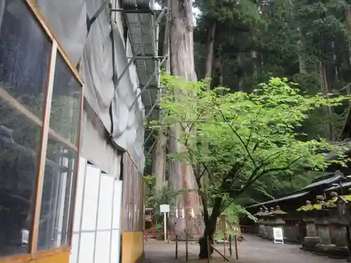 日光二荒山神社(栃木県)