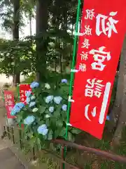 弥生神社の自然