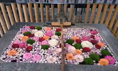高円寺氷川神社(東京都)