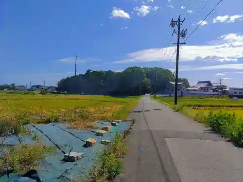 神明社（外坪神明社）の自然