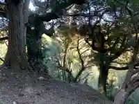 日吉神社の周辺