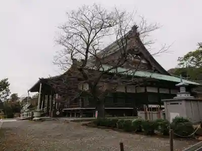 時宗総本山 遊行寺（正式：清浄光寺）の本殿・本堂