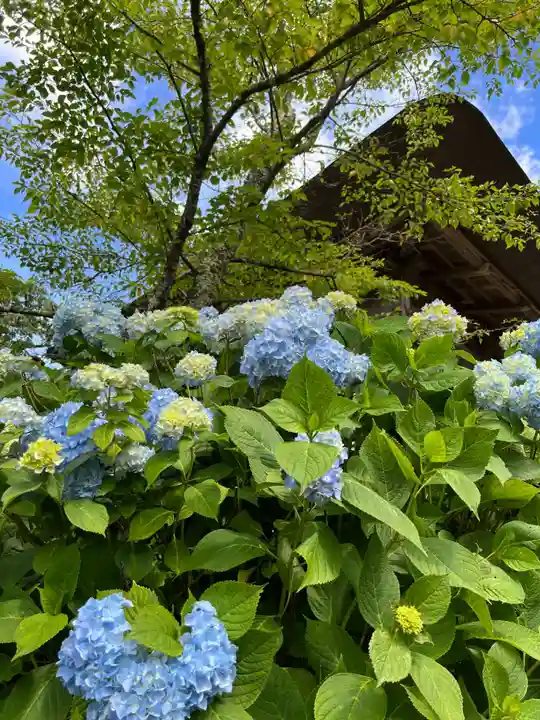国宝 大法寺の自然
