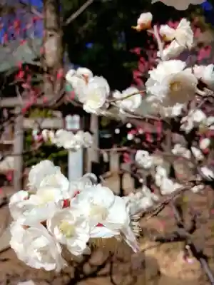 布多天神社(東京都)