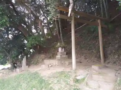 諏訪大神の鳥居