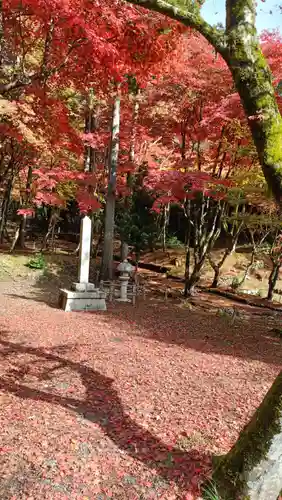 鶏足寺(滋賀県)