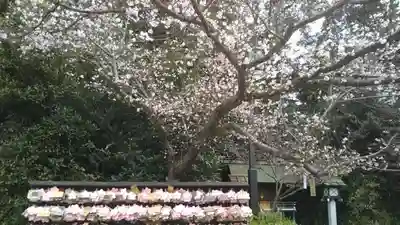 櫻木神社(千葉県)