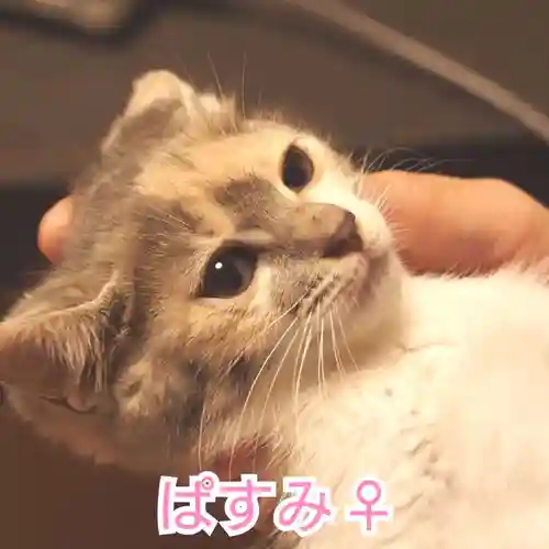 天王山 安楽寺(福井県)