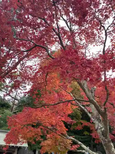 高尾山薬王院の景色