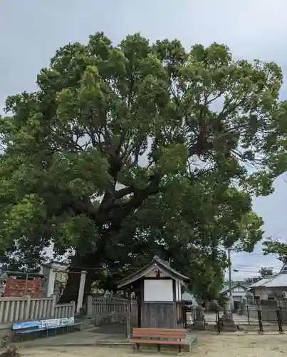 菅原神社(大阪府)