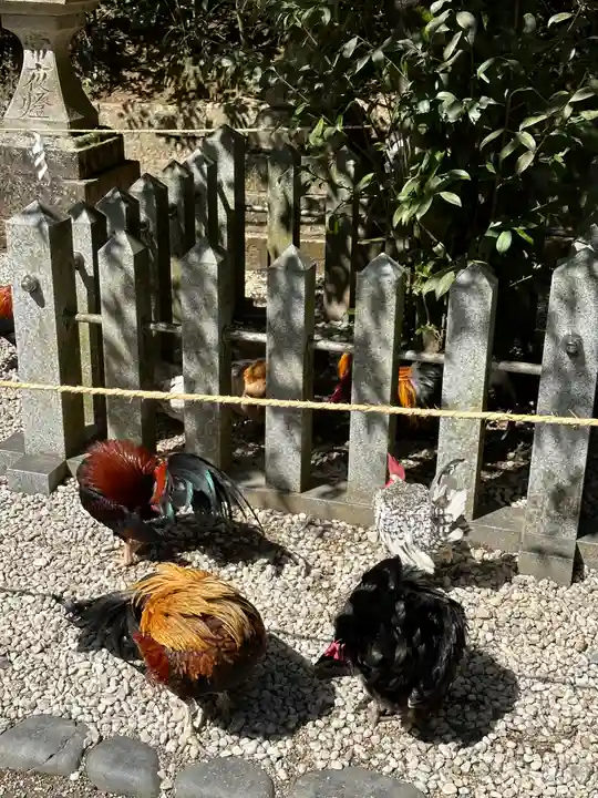 石上神宮(奈良県)