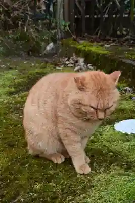 槵觸神社(宮崎県)