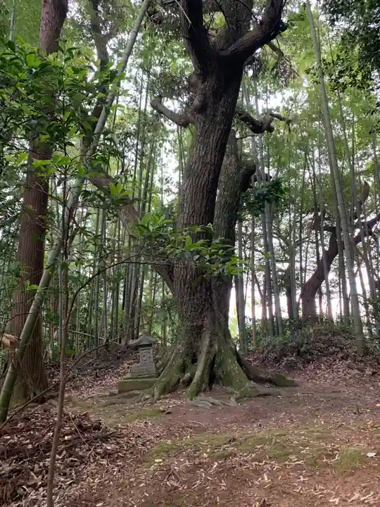 星宮神社(千葉県)