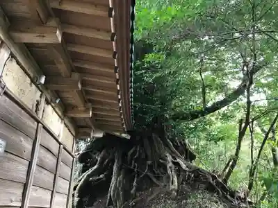 天神社のその他建物