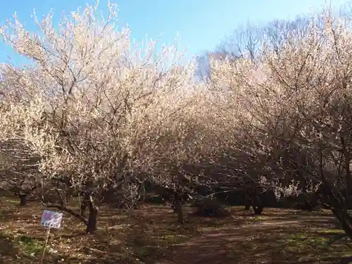 壽命院 永徳寺(栃木県)