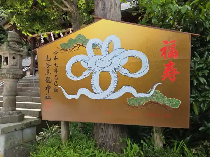 毛谷黒龍神社(福井県)