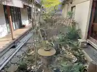 遠照山 光明寺(尼崎大仏)(兵庫県)