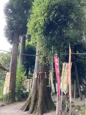 中之嶽神社の自然