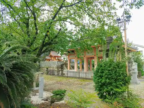 八幡神社の自然