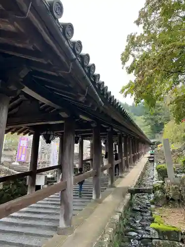 長谷寺(奈良県)
