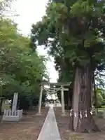 春日神社(福井県)