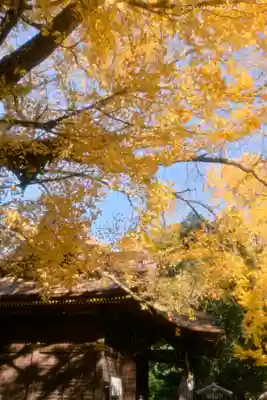 玉敷神社(埼玉県)