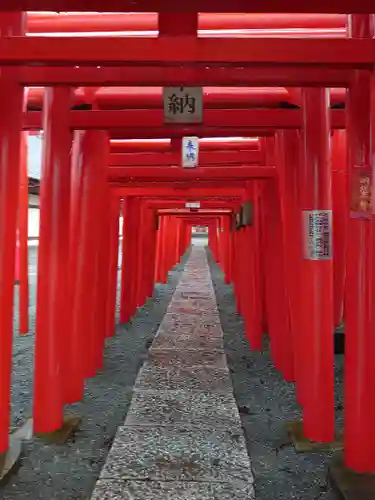 小泉稲荷神社の鳥居