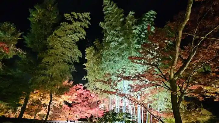 宝厳院(京都府)