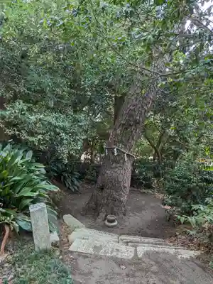 第六天神社(神奈川県)