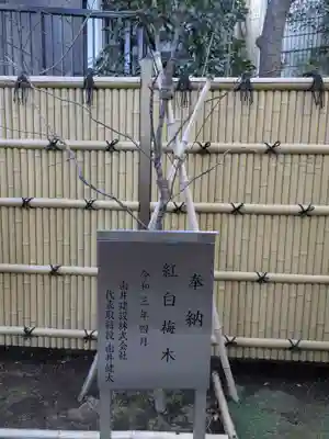 高円寺氷川神社(東京都)