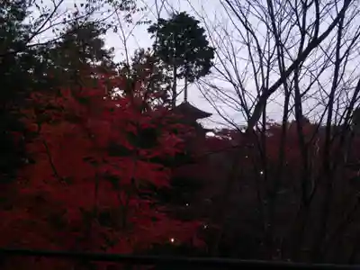 清水寺(京都府)