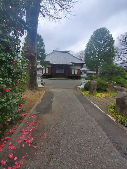 興聖寺の本殿・本堂