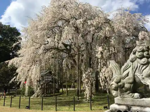 足羽神社の庭園