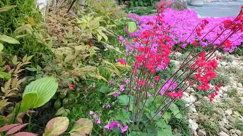 寿量山　速成寺の自然