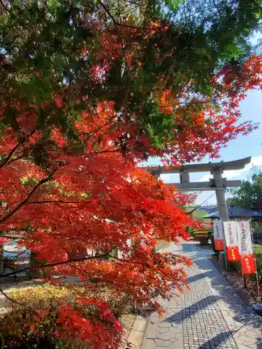 滑川神社 - 仕事と子どもの守り神の自然