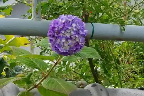 おふさ観音（観音寺）の庭園