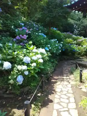 妙楽寺(神奈川県)