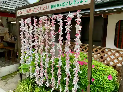 仙台大神宮のおみくじ